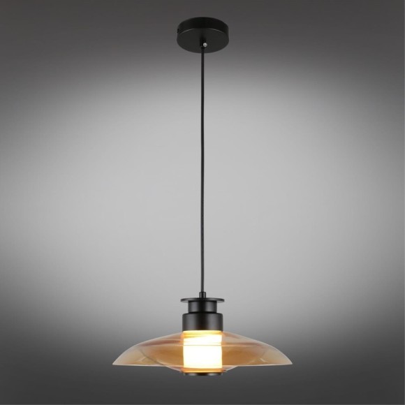 Светильник подвесной APL.648.16.10