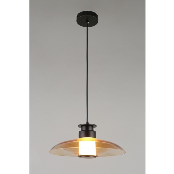 Светильник подвесной APL.648.16.10