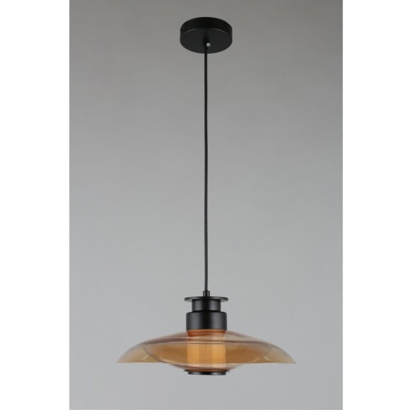 Светильник подвесной APL.648.16.10