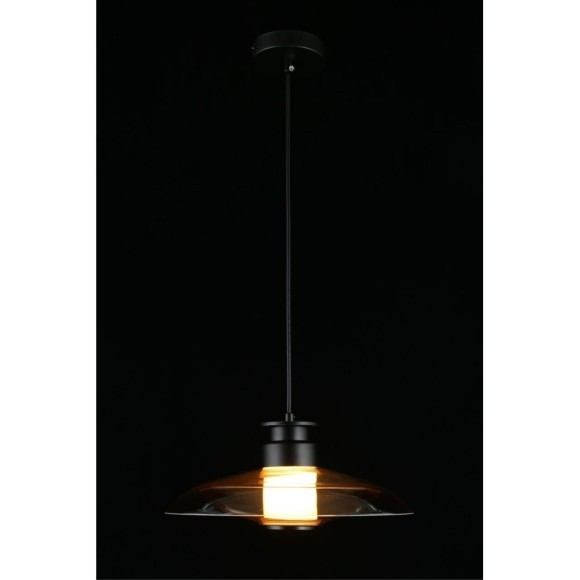 Светильник подвесной APL.648.16.10