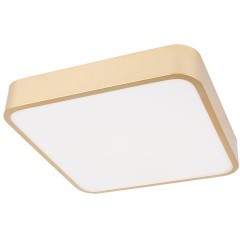 10228/C Потолочный светильник LOFT IT Flims