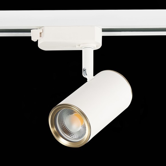 ST301.536.01 однофазный двужильный трековый светильник ST Luce под сменную лампу GU10 ST301.536.01 однофазный двужильный трековый светильник ST Luce под сменную лампу GU10