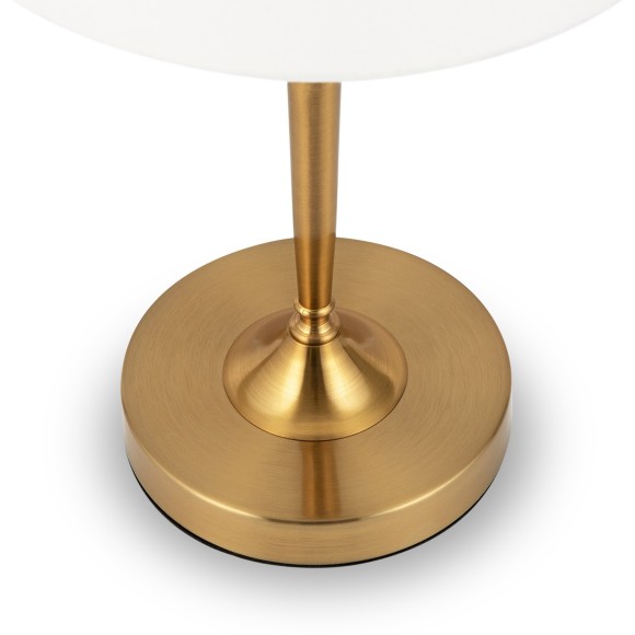 Интерьерная настольная лампа Freya Rosemary FR5190TL-01BS1