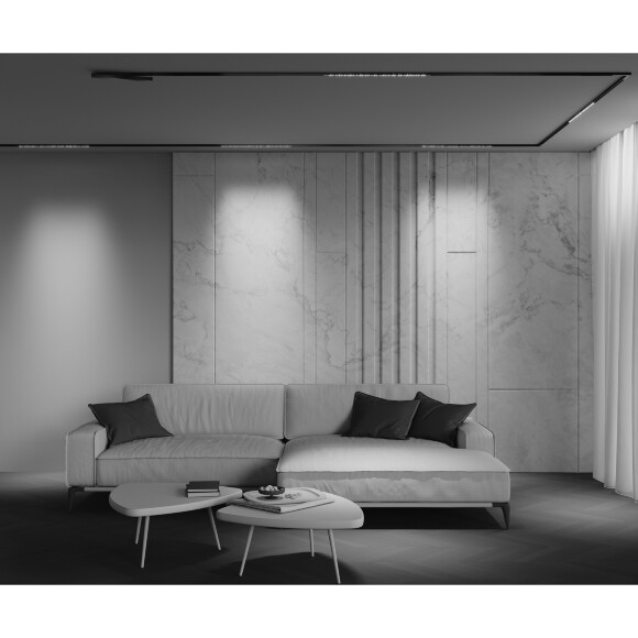 Трековый светильник Technical TR241-2-12W3K-B