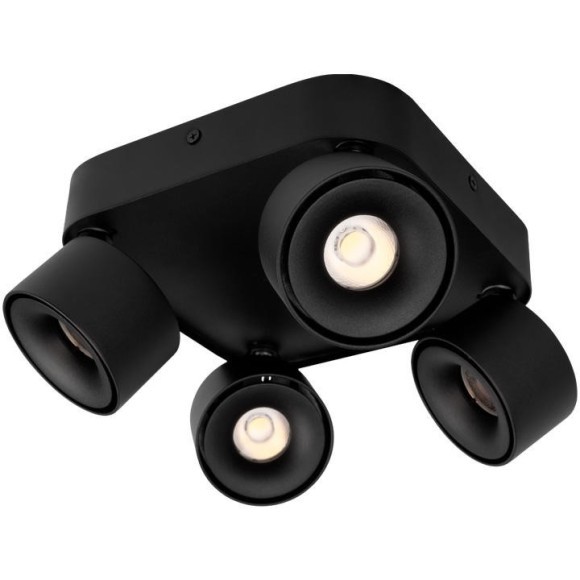 10326 Black Накладной светильник LOFT IT Case