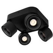 10326 Black Накладной светильник LOFT IT Case