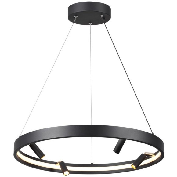 Подвесной светильник светодиодный Fonda 4317/58L