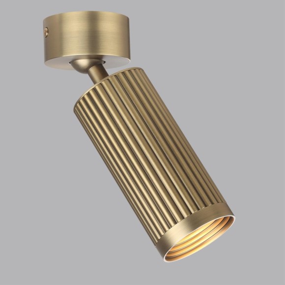 Потолочный светильник поворотный на 360° Odeon Light MANCHESTER 7013/1C