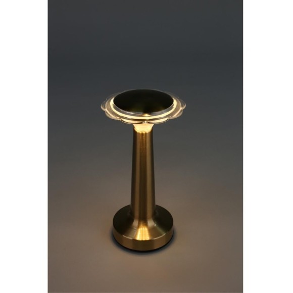 Настольная лампа OML-40204-01