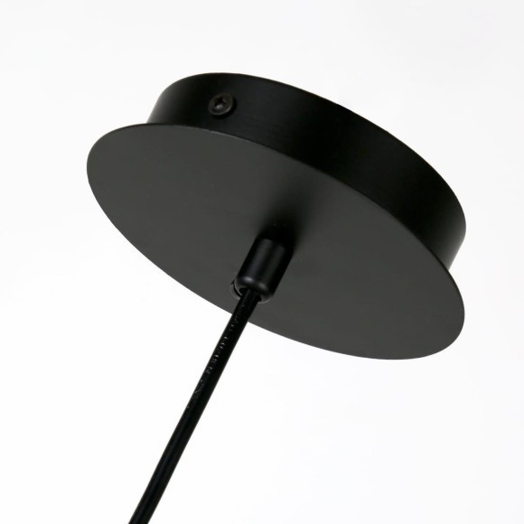 Подвесной светильник Enigma 1604-1P