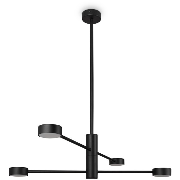 Потолочный светильник Freya FR5363CL-04B