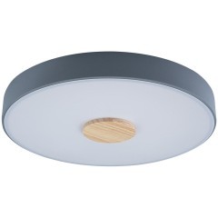 10003/24 Grey Потолочный светильник LOFT IT Axel