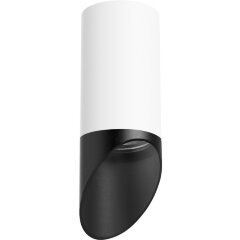 Накладной потолочный светильник Lightstar R43637 RULLO под лампу 1xGU10 50W