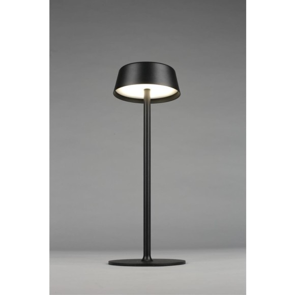 Настольная лампа OML-40504-01