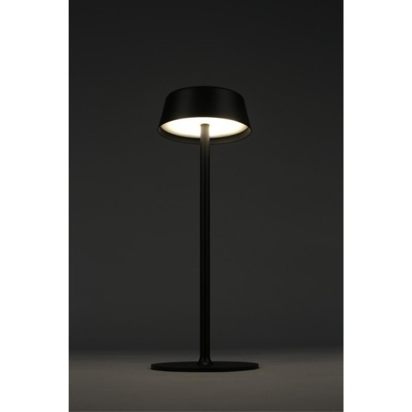 Настольная лампа OML-40504-01