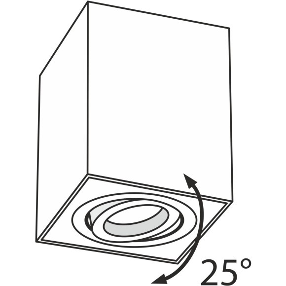 Потолочный светильник Technical C017CL-01S