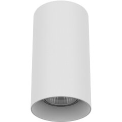 Накладной потолочный светильник Lightstar 216486 RULLO под лампу 1xGU10 50W