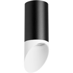 Накладной потолочный светильник Lightstar R43736 RULLO под лампу 1xGU10 50W