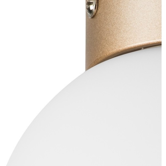 Люстра потолочная Lightstar 812013 Globo под лампу 1xE14 40W