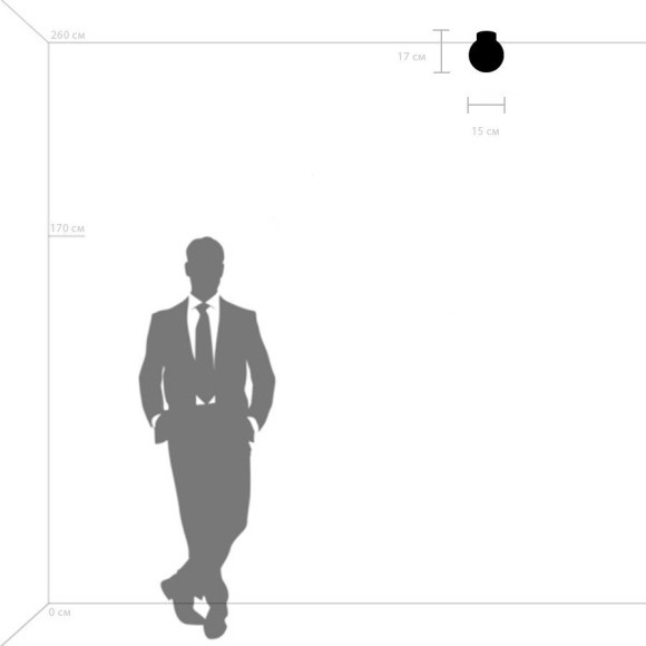 Люстра потолочная Lightstar 812013 Globo под лампу 1xE14 40W