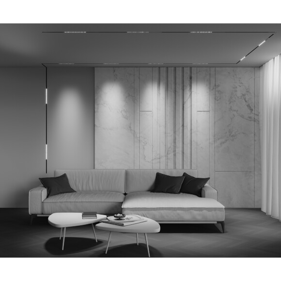 Трековый светильник Technical TR241-4-12WTW-DSZ-B