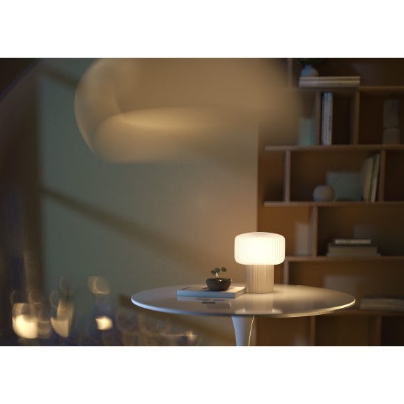 Настольный светильник Maytoni MOD404TL-01BG