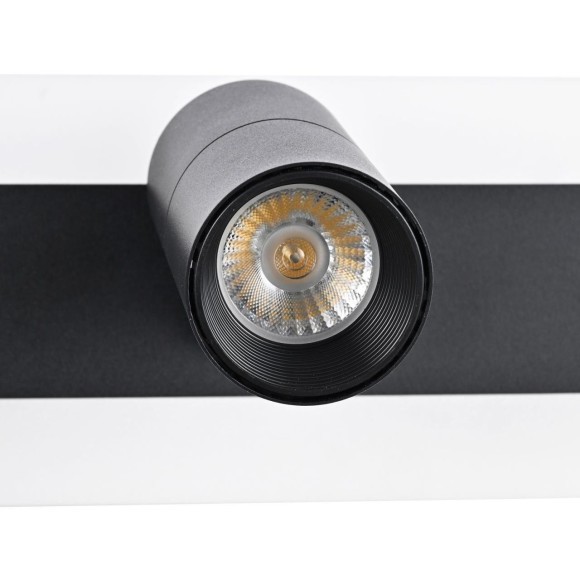 Спот Trick 4079-3C