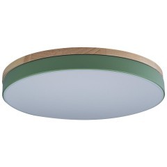 10001/36 Green Потолочный светильник LOFT IT Axel