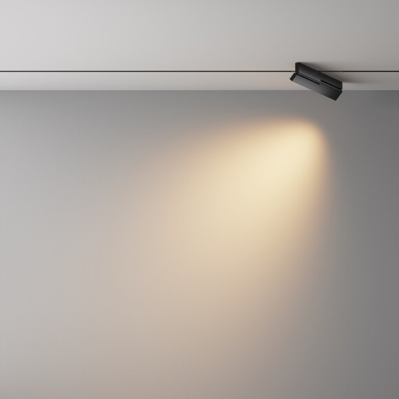 Трековый светильник Technical TR242-2-12W3K-B