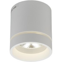 Потолочный спот APL.0044.09.05