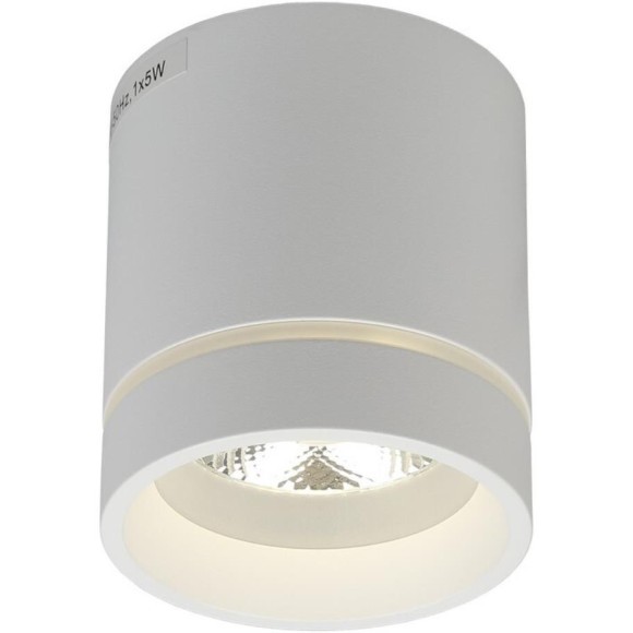 Потолочный спот APL.0044.09.05