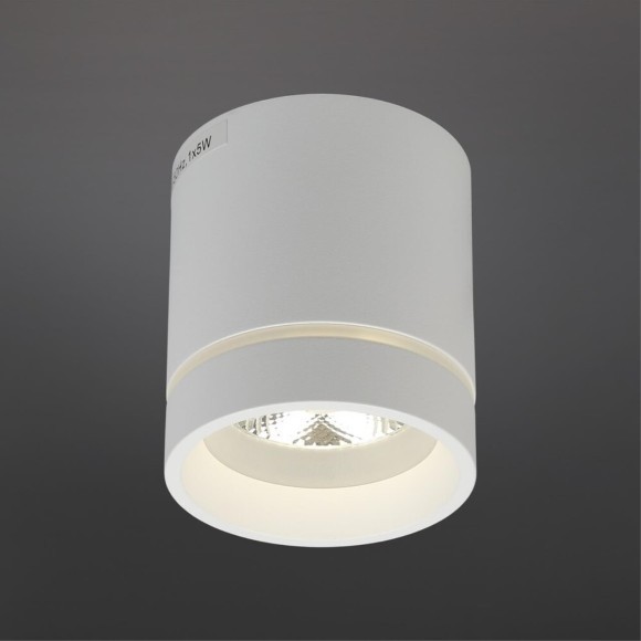 Потолочный спот APL.0044.09.05