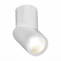 ST650.542.10 Светильник потолочный Белый LED 1*10W 4000K 800Lm Ra90 38° IP44 D62xH151 165-265V Накладные светильники