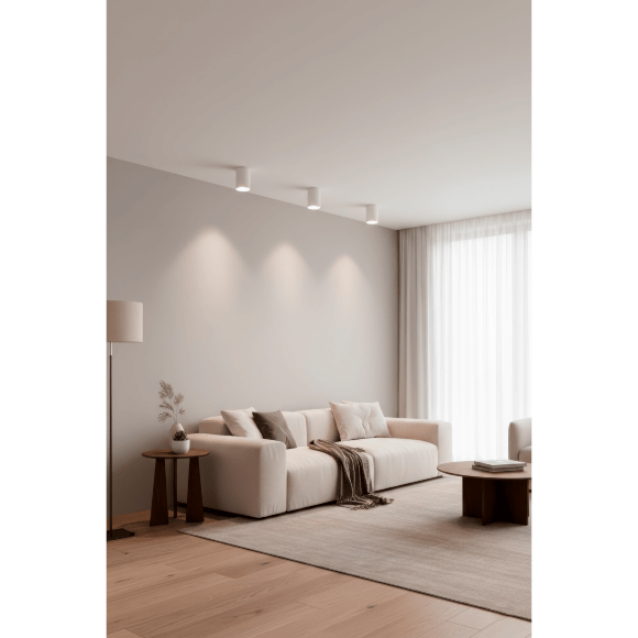 Crystal Lux CLT 084C WH 1400/344 Светильник потолочный накладной точечный, белый матовый цилиндр под лампу GU10 макс. 50Вт, 110x70мм, белый спот для кухни, коридора и прихожей, IP20 220V Crystal Lux CLT 084C WH 1400/344 Светильник потолочный накладной точечный, белый матовый цилиндр под лампу GU10 макс. 50Вт, 110x70мм, белый спот для кухни, коридора и прихожей, IP20 220V