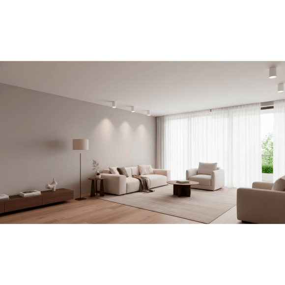 Crystal Lux CLT 084C WH 1400/344 Светильник потолочный накладной точечный, белый матовый цилиндр под лампу GU10 макс. 50Вт, 110x70мм, белый спот для кухни, коридора и прихожей, IP20 220V Crystal Lux CLT 084C WH 1400/344 Светильник потолочный накладной точечный, белый матовый цилиндр под лампу GU10 макс. 50Вт, 110x70мм, белый спот для кухни, коридора и прихожей, IP20 220V