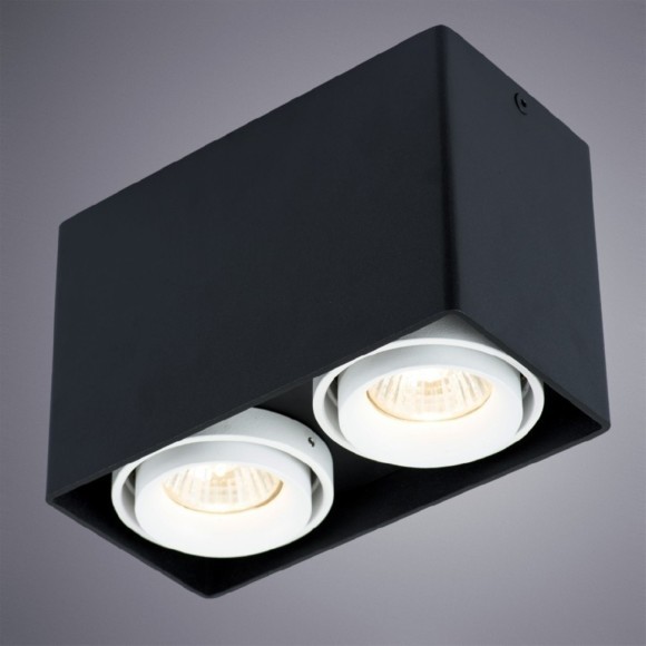 Накладной потолочный светильник Arte Lamp A5655PL-2BK PICTOR под лампы 2xGU10 50W