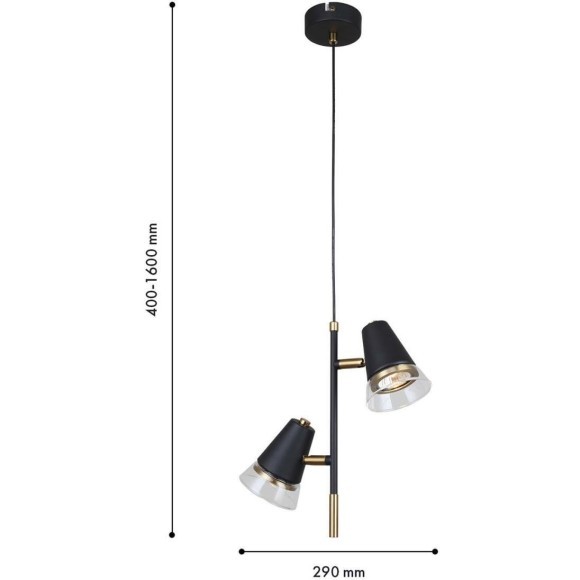 4618-2P, подвес, D290xH425/1600, 2xGU10x35W, excluded