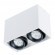 Накладной потолочный светильник Arte Lamp A5655PL-2WH PICTOR под лампы 2xGU10 50W