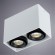 Накладной потолочный светильник Arte Lamp A5655PL-2WH PICTOR под лампы 2xGU10 50W