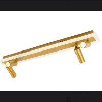 Спот потолочный Arte Lamp A2607PL-30GO TOMMY светодиодный 4xLED 30W