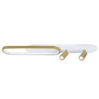 Спот настенный Arte Lamp A2600PL-32GO LUCAS светодиодный 2xLED 32W