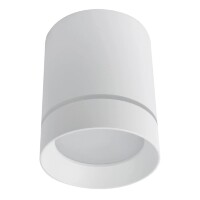Накладной потолочный светильник Arte Lamp A1909PL-1WH ELLE светодиодный LED 9W