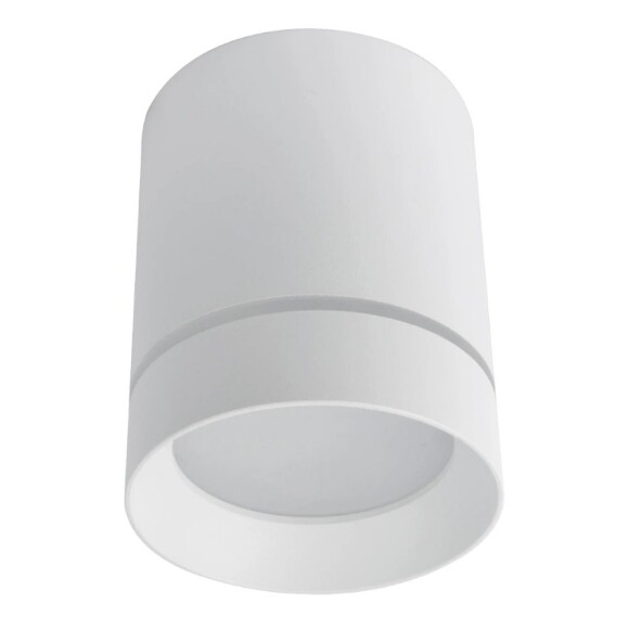 Накладной потолочный светильник Arte Lamp A1909PL-1WH ELLE светодиодный LED 9W
