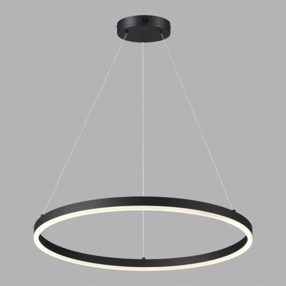 Светильник подвесной LUMION ECHO 6530/50L