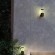 Уличный настенный светильник Novotech IP54 E27 15W VIDO 370951