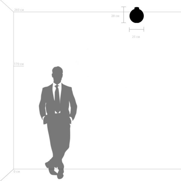 Люстра потолочная Lightstar 812031 Globo под лампу 1xE14 40W