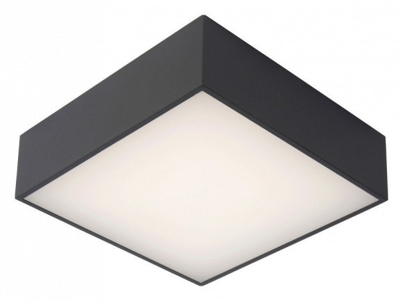Настенно-потолочный светильник Lucide 27816/10/29 Roxane IP54 светодиодный LED 10W