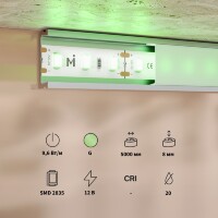 Maytoni 201172 Cветодиодная лента зеленого света, 5 метров, ширина 8мм серия BASE SMD2835 12V 9,6Вт/м IP20 CRI80 120° кратность резки 25мм, раб. температура -30...+60°С