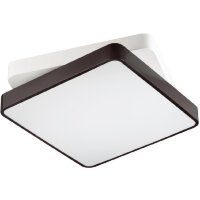 Потолочный светильник светодиодный с пультом Agatha 4511/72CL