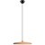 10119 Orange Подвесной светильник LOFT IT Plato